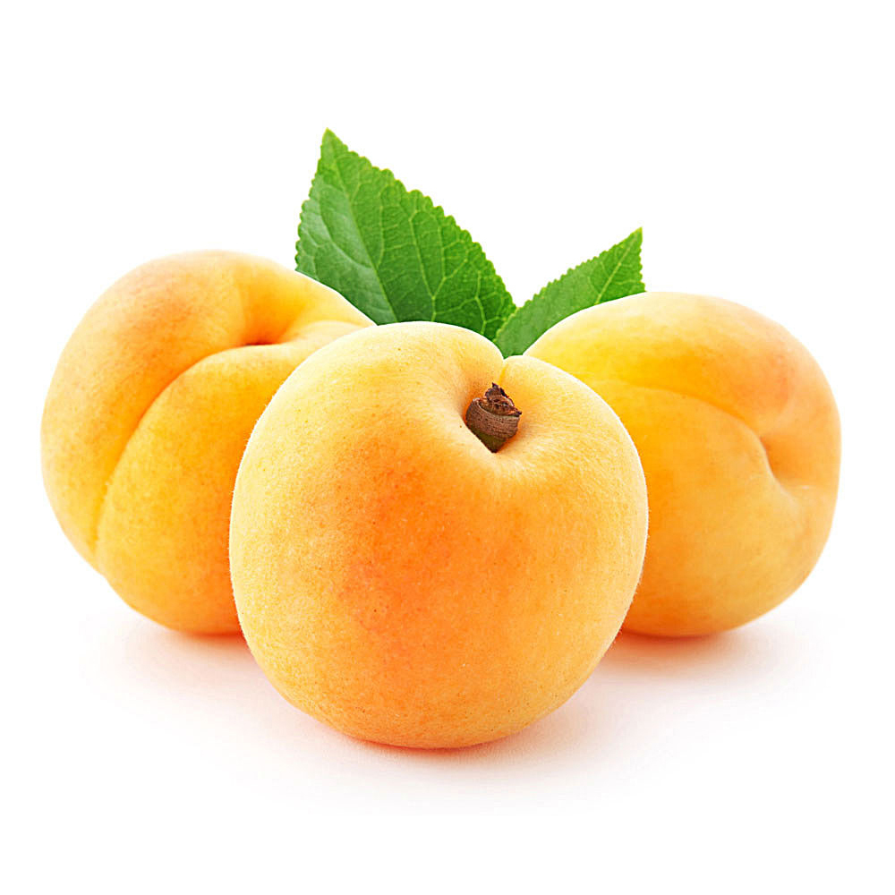 黄桃 蔷薇科桃属植物 百度百科