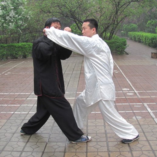 宋氏形意拳_百度百科