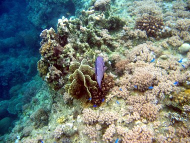 菲律宾风光集萃