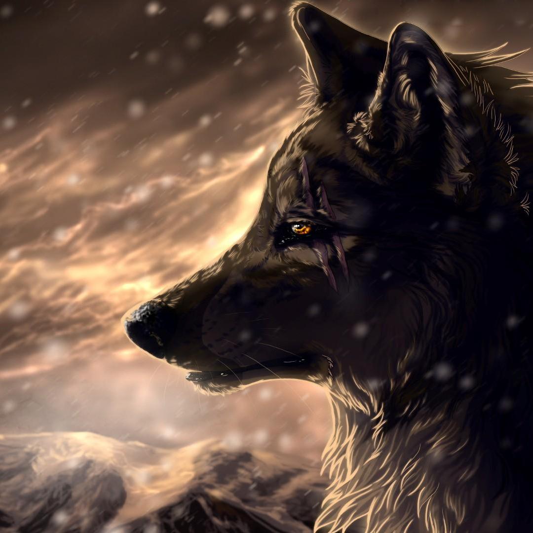 狼妖 狼化做的妖怪 百度百科