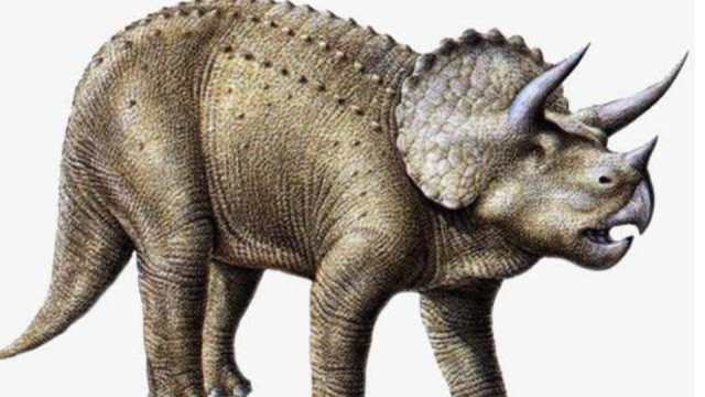 一分钟了解三角龙