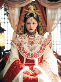 电视剧《藏海传》中饰演明颜银术