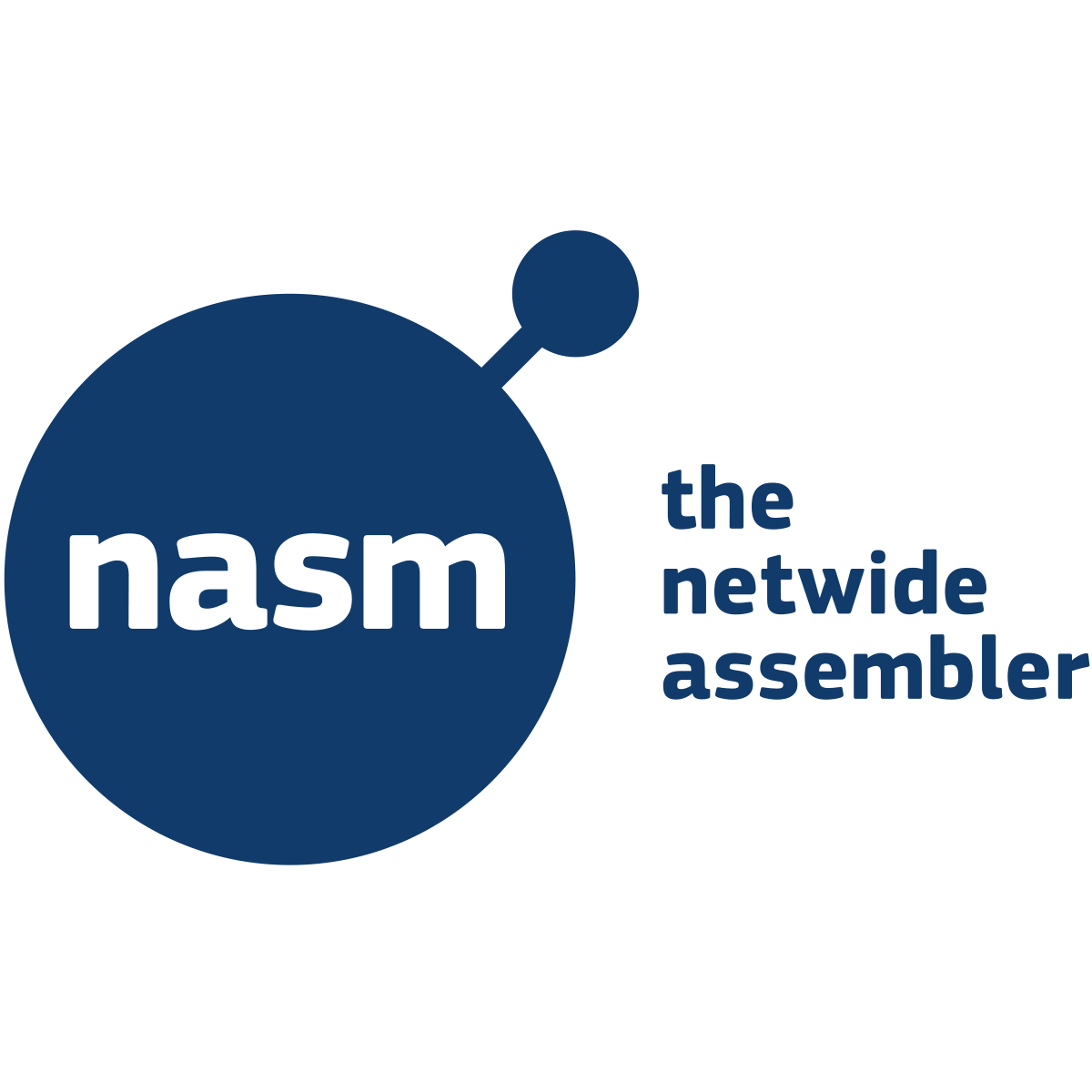 nasm 百度百科