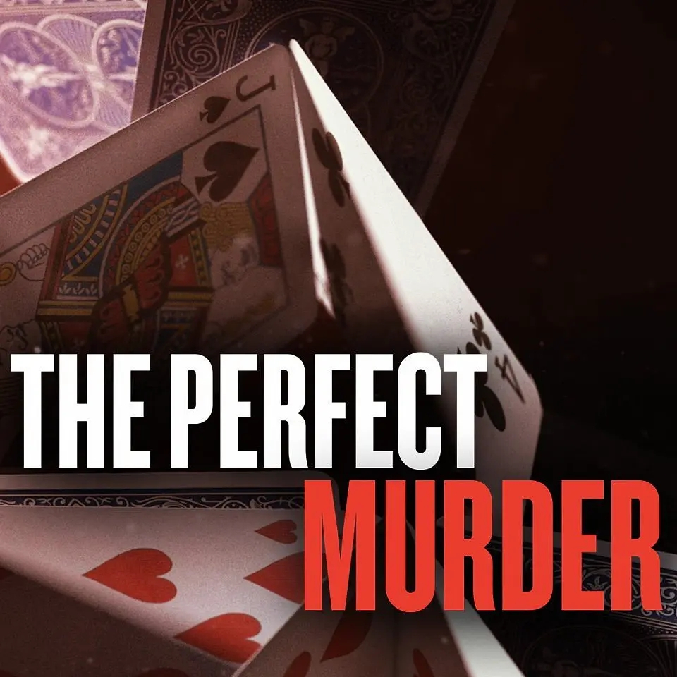 完美谋杀案第一季_百度百科