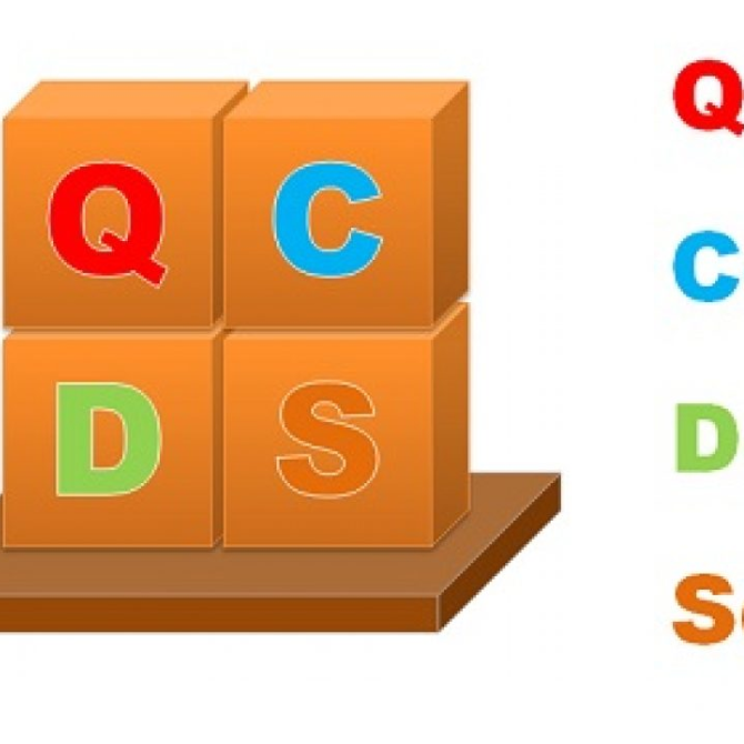 QCDS