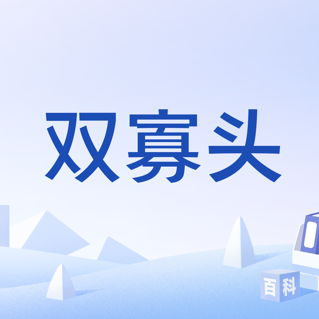 双寡头_百度百科