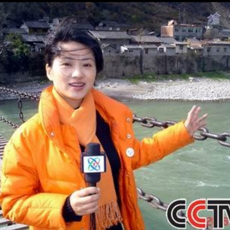 徐麗莉（央視記者）_百度百科
