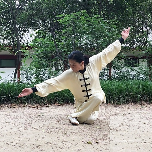 白猿通背拳 中国武術 白猿通背拳 中国武術 - メルカリ