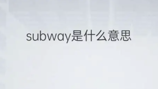 Subway（英语单词）_百度百科