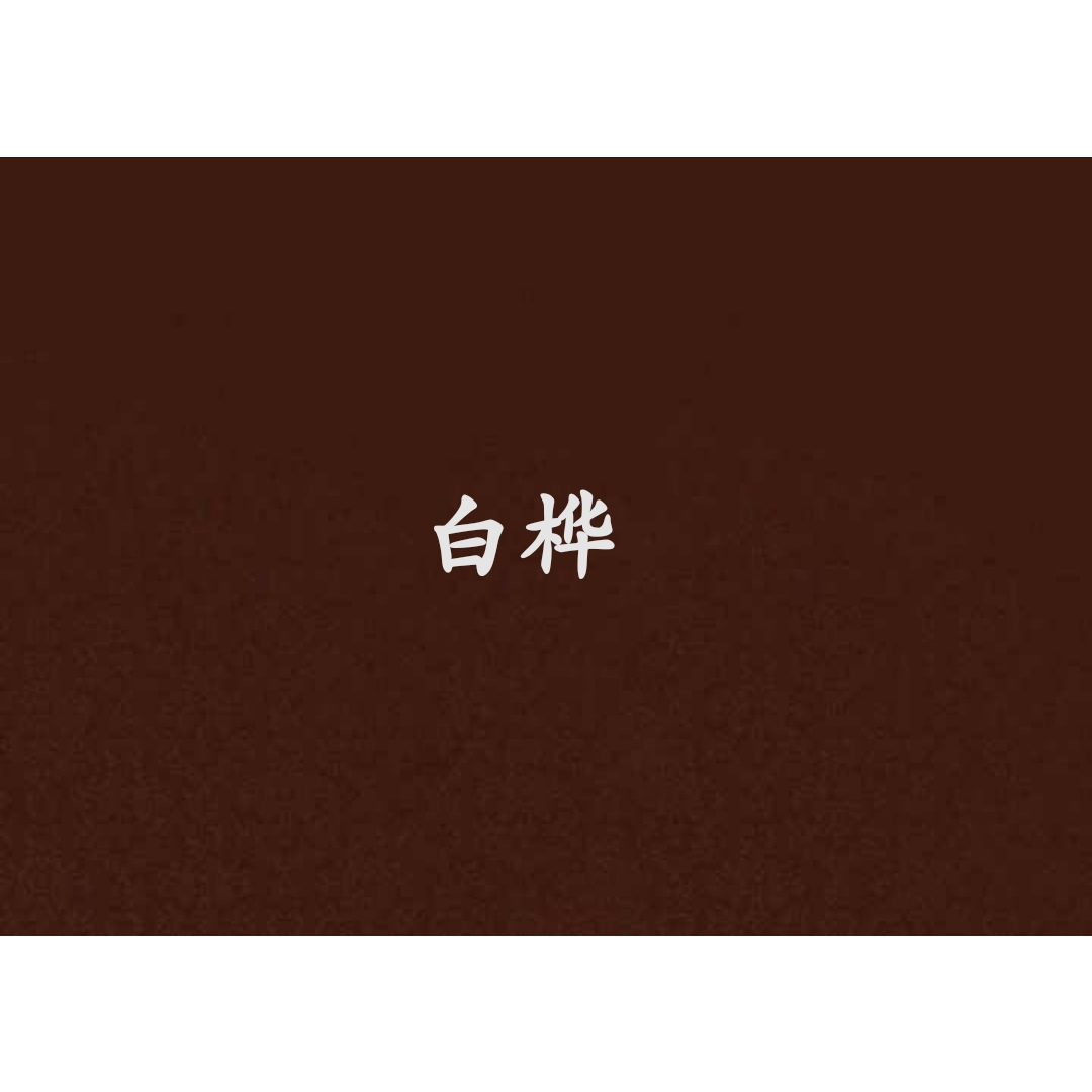 白桦派 百度百科