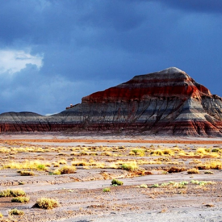 top 104+ Pictures 石化森林国家公园 Updated