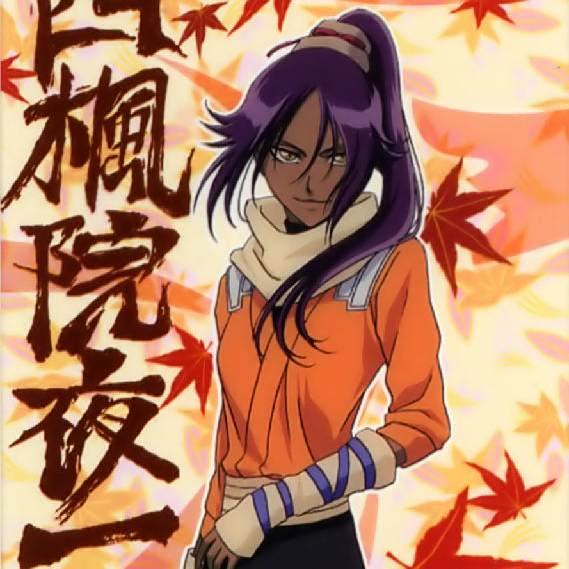 四楓院 夜一 イラスト 未開封] G.E.M.シリーズ BLEACH 四楓院夜