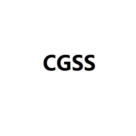 CGSS Online Prüfung | Sns-Brigh10