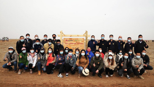 我有一片胡杨林