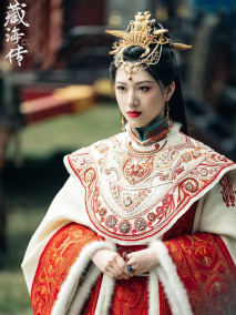 电视剧《藏海传》中饰演明颜银术