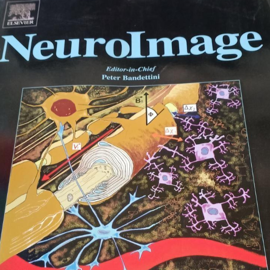 NEUROIMAGE_百度百科
