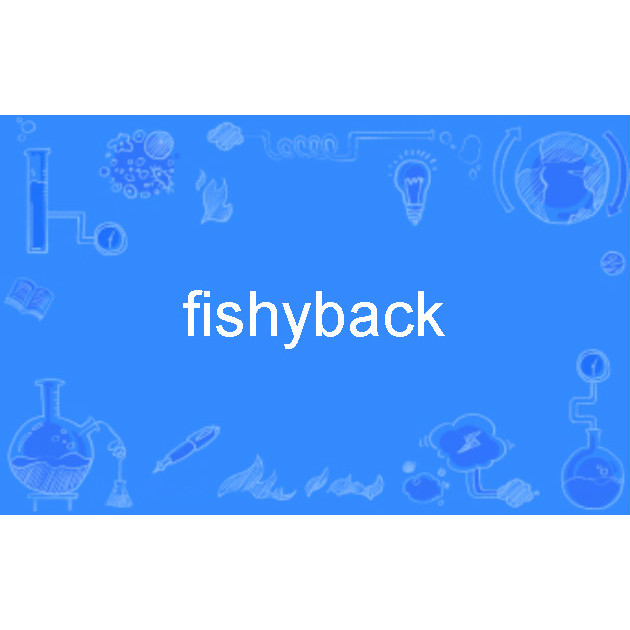 fishyback_百度百科