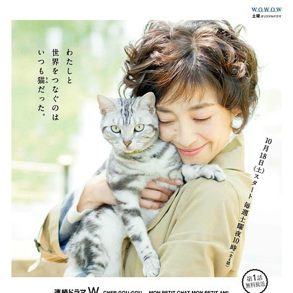 咕咕是一只猫 14年宫泽理惠主演的日剧 百度百科