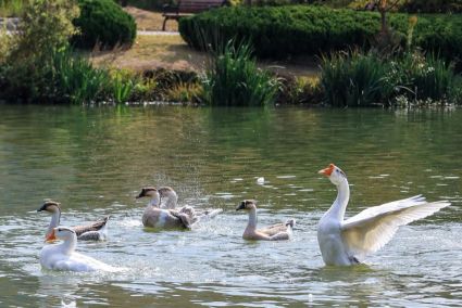 浙江财经大学东方学院风光