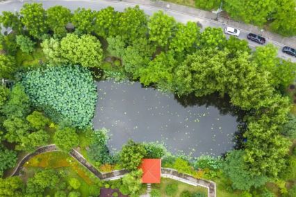 浙江财经大学东方学院风光