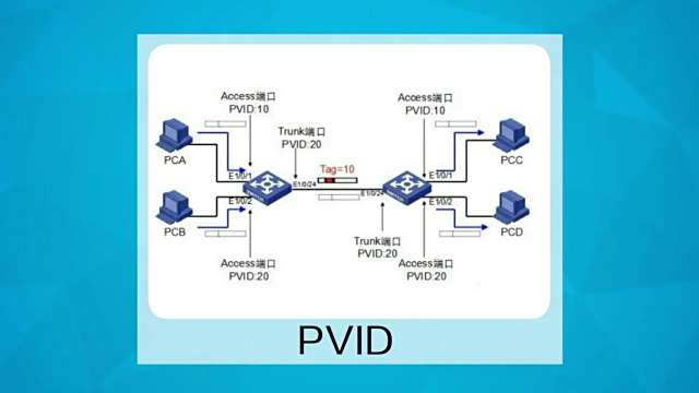 PVID_百度百科
