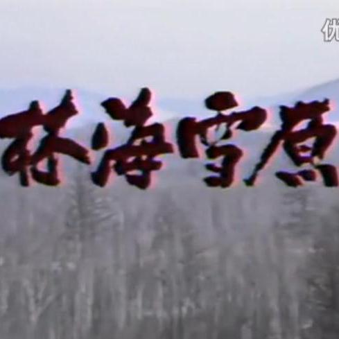 林海雪原 1986年10月电视剧 百度百科