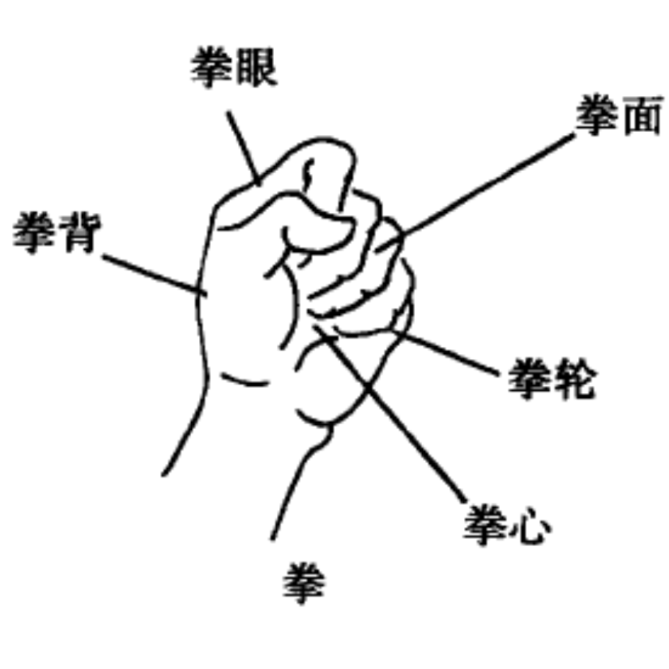 拳心 百度百科