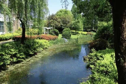 浙江财经大学东方学院风光