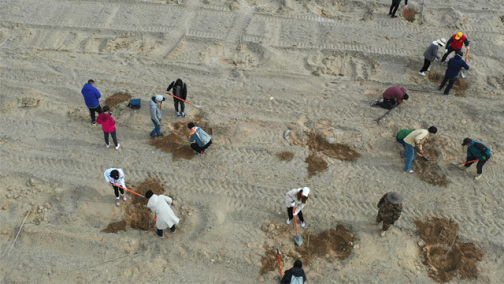 我有一片胡杨林