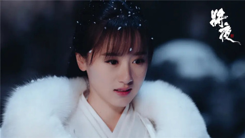 将夜（2018年陈飞宇、宋伊人等主演古装玄幻剧）_百度百科