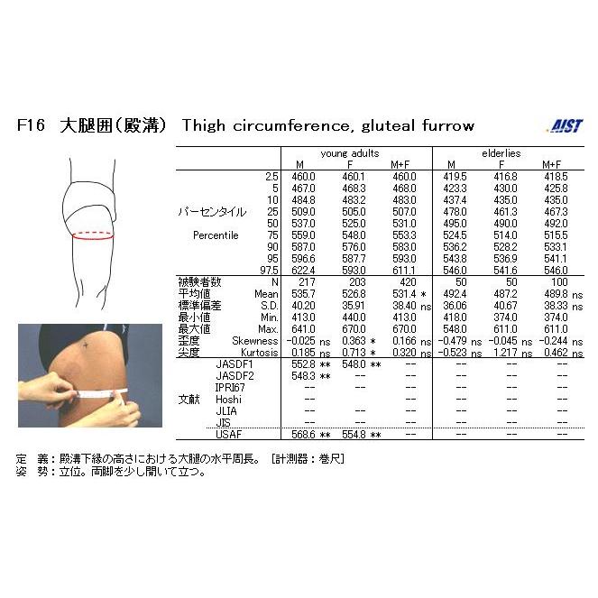 大腿围 百度百科