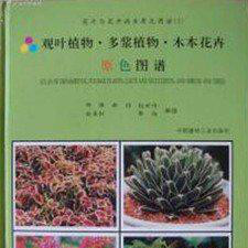 原色花卉病害虫百科 7
