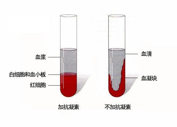 血浆_百度百科