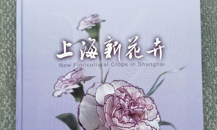 花卉 具有观赏价值的草本植物 百度百科