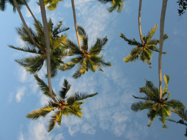 菲律宾风光集萃