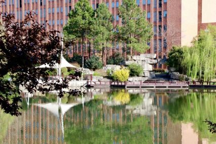 浙江财经大学东方学院风光