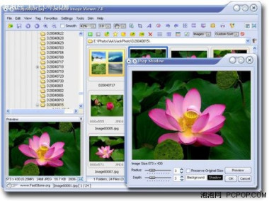 FastStone Image Viewer_百度百科