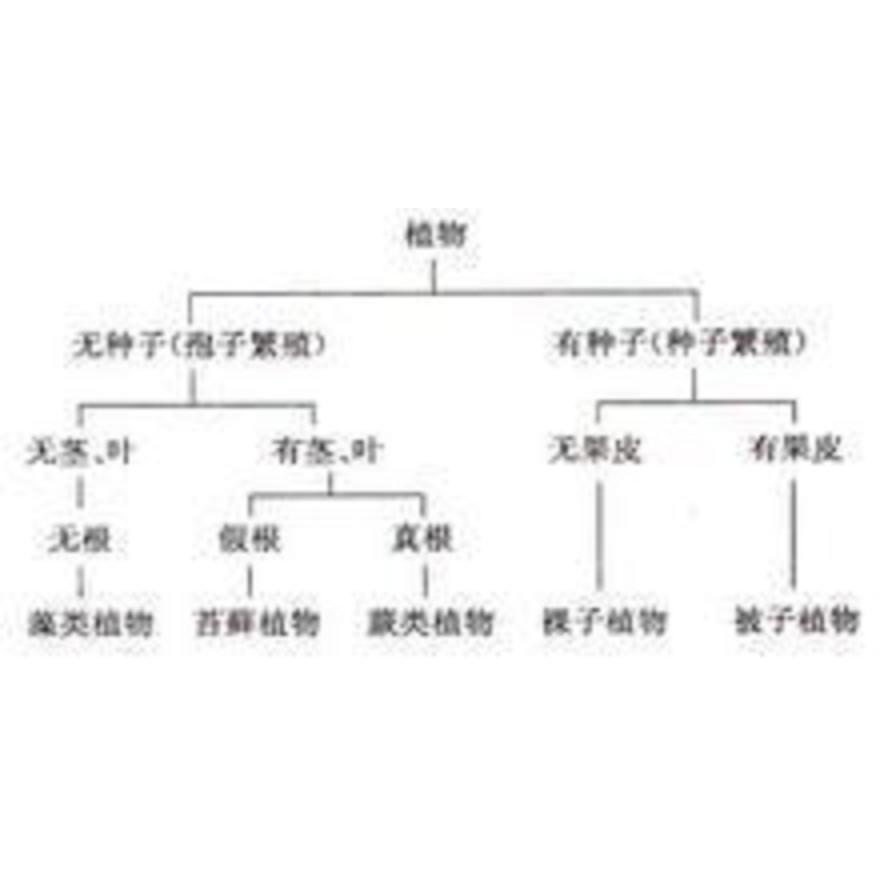 生物检索表 百度百科