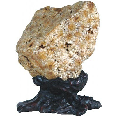 菊花石、特大菊花石、梅花石、 神居古潭石、神居古潭菊花石、立体菊花石 菊花石、特大菊花石、梅花石、 神居古潭石、神居古潭菊花石