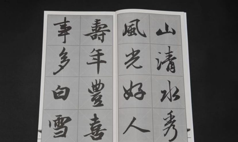 象形文字 百度百科