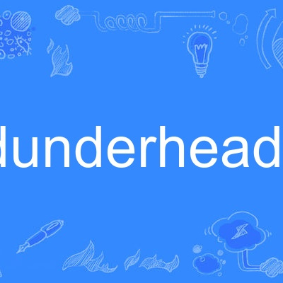 dunderhead 百度百科