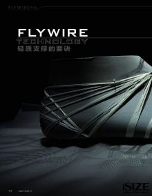 flywire_百度百科
